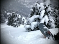 drop-into-the-whiteroom
