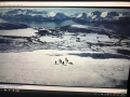 Arktis splitboardcamps