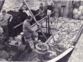 fish on deck of comrades at old times