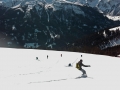 crew-shred
