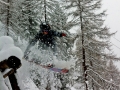 treerun-air