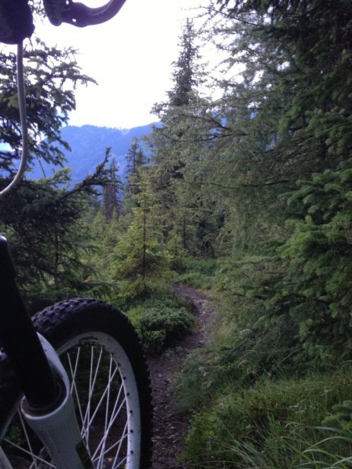 MTB_Front